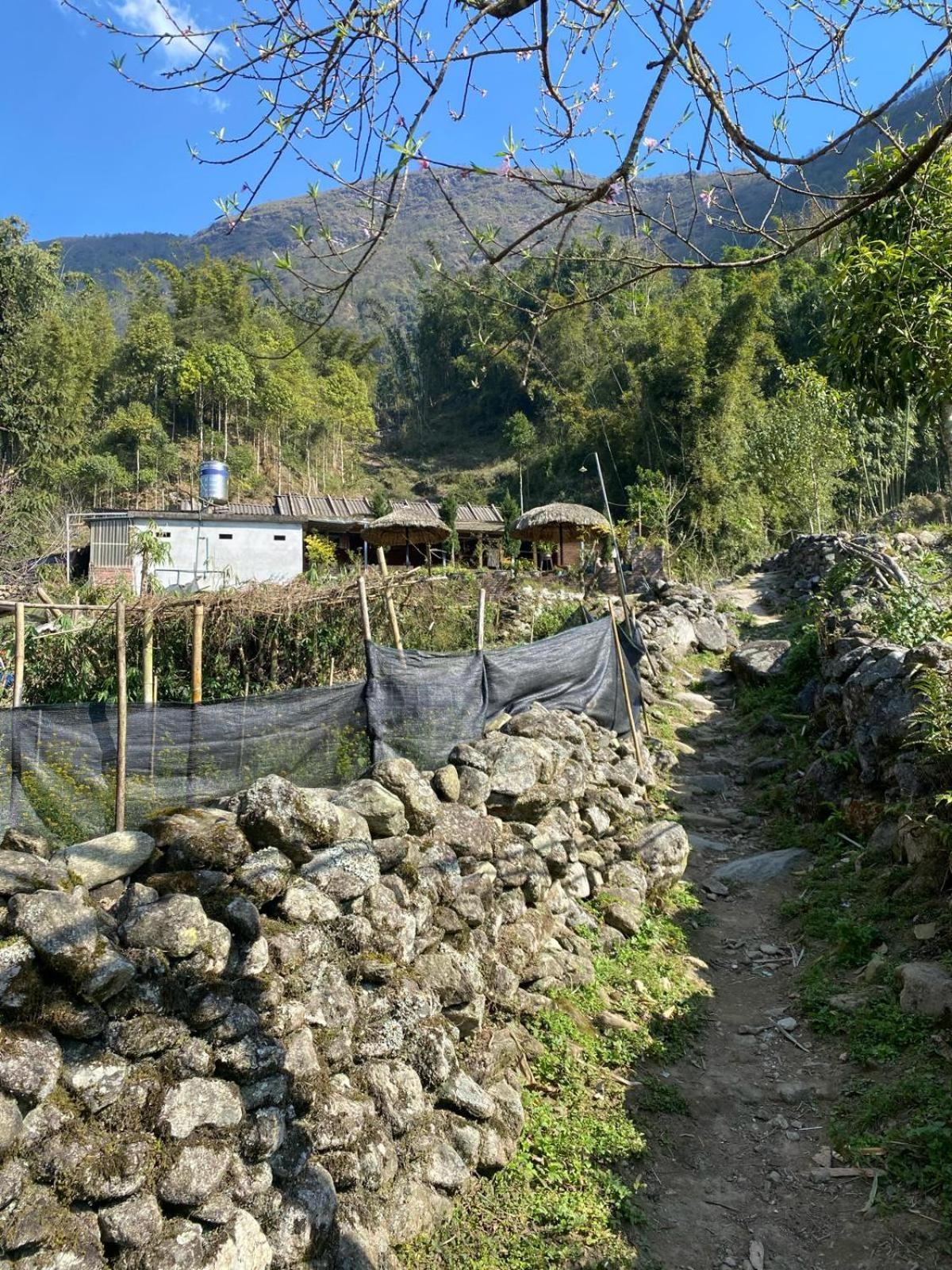 Sue Pa Family Trekking Homestay Sa Pa Exterior photo